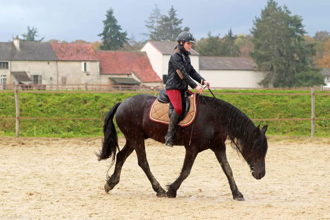 Lieuwe van de Heide — view 7 of 40